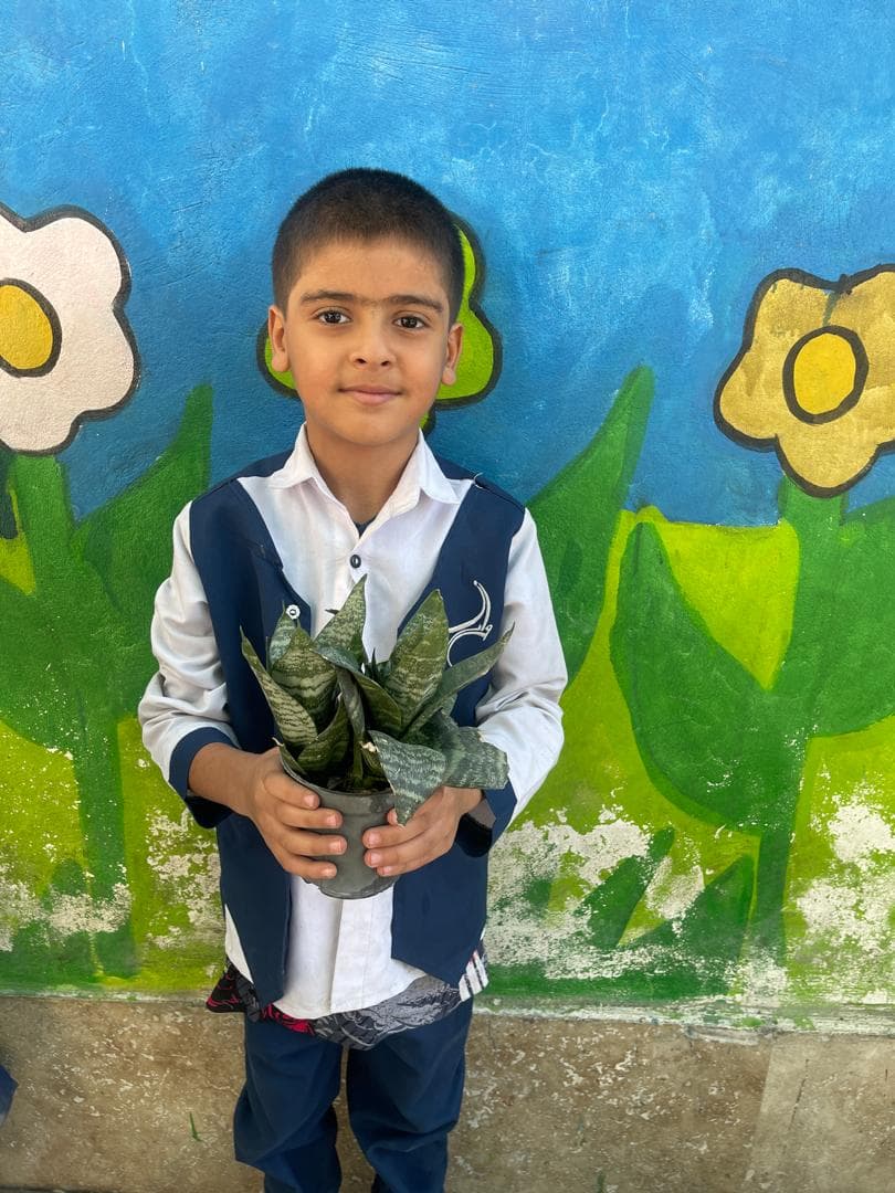 درخت و درختکاری گرامی باد 🌱